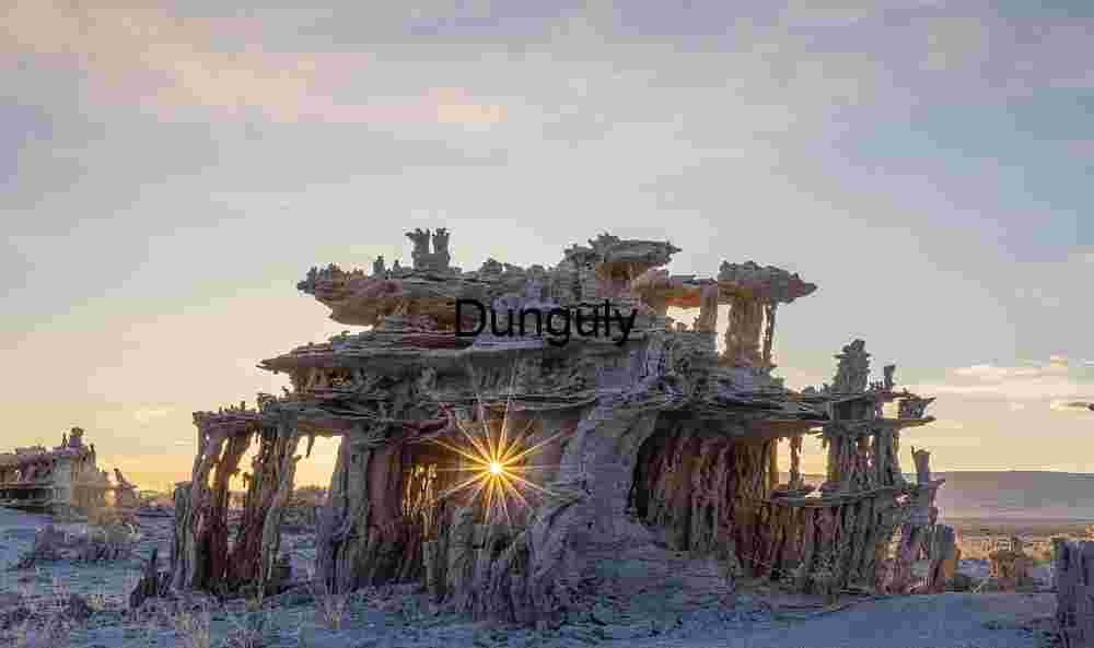 Black & White Sand Ripple Curve Abstract Dune Texture