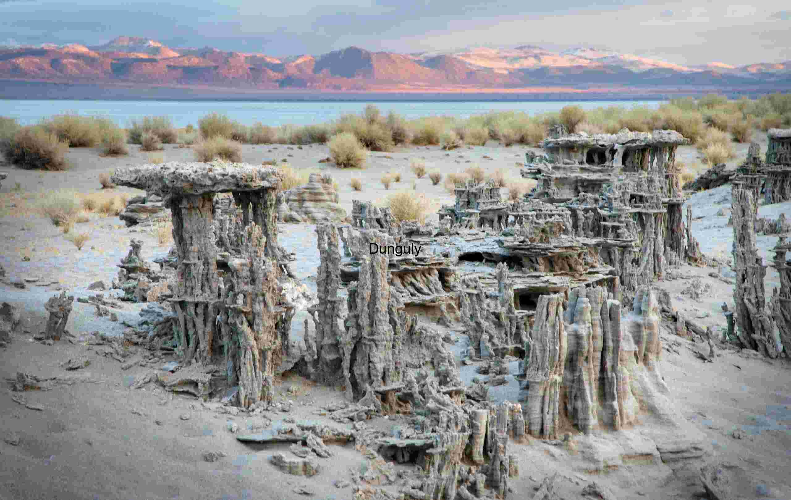 Close- Black & White Sand Ripple Curve Abstract Dune Texture