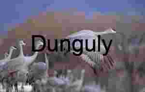 Sandhill Crane Takes Flight: Migration at Ladd Gordon Waterfowl