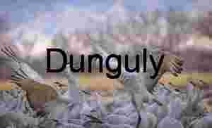 Sandhill crane squabble | Ladd Gordon Waterfowl Complex | Bird Life