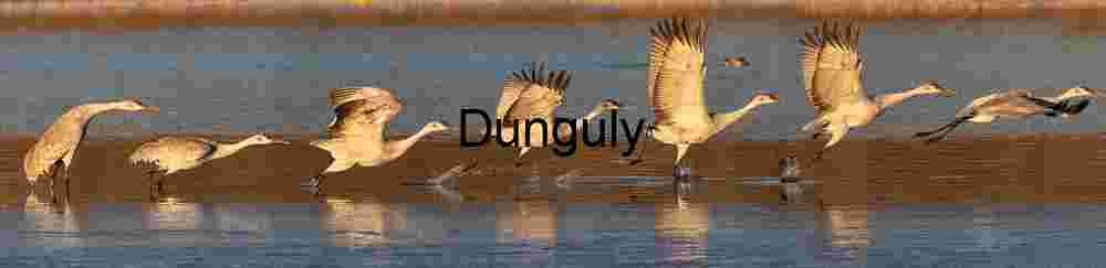 Mono Lake Sand Tufa Sunstar Sunrise Geologic Formation