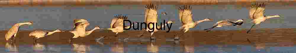 Close- Mono Lake Sand Tufa Sunstar Sunrise Geologic Formation