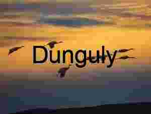 Bosque del Apache Sunrise: Sandhill Cranes & Fiery Clouds | Sandhill cranes, against yellow sky,