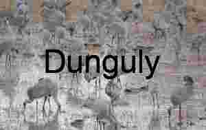 Sandhill Cranes Feeding in Flooded Wetland Field