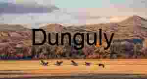 Sandhill Cranes Flying Over Golden Field at Sunset