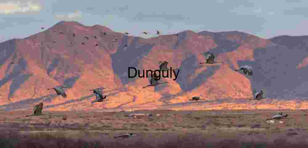 Sandhill cranes flying before sunlit mountains