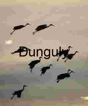 Bosque del Apache Sunrise: Sandhill Cranes & Fiery Clouds | Sandhill cranes, with extended, landing gear