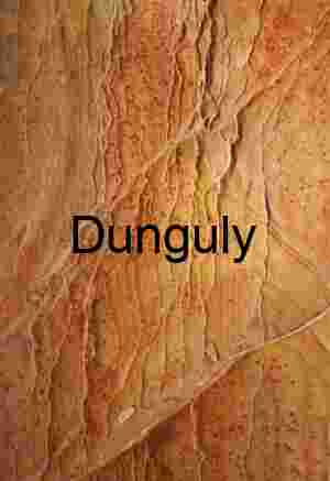 Sandstone filigree, Cottonwood Cove, South Coyote Buttes