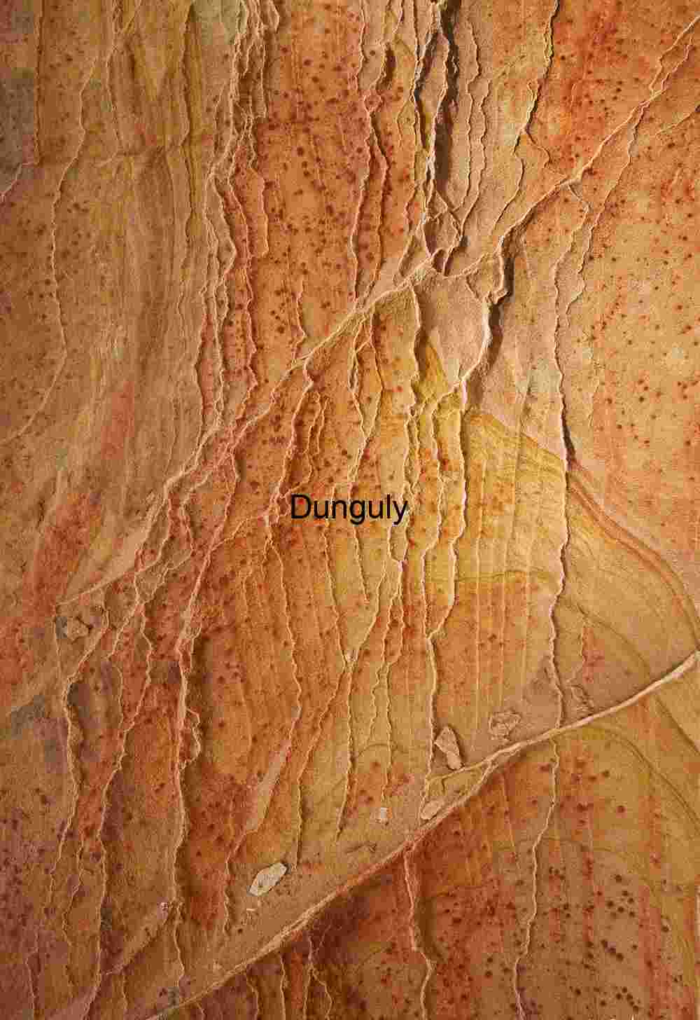 Sandstone filigree, Cottonwood Cove, South Coyote Buttes