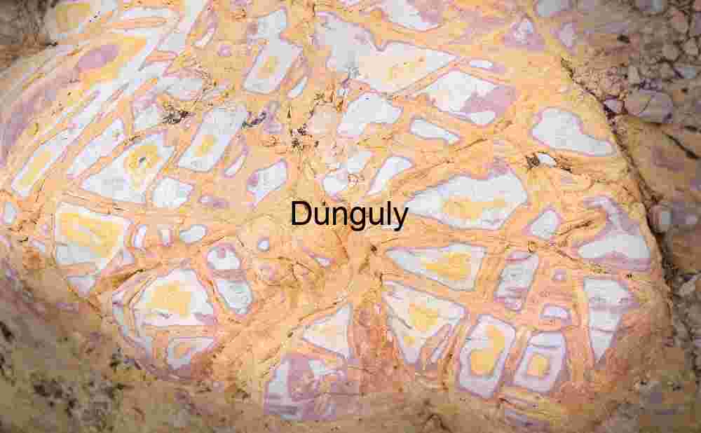 Scattered candies | Earthy Swirls & Veins