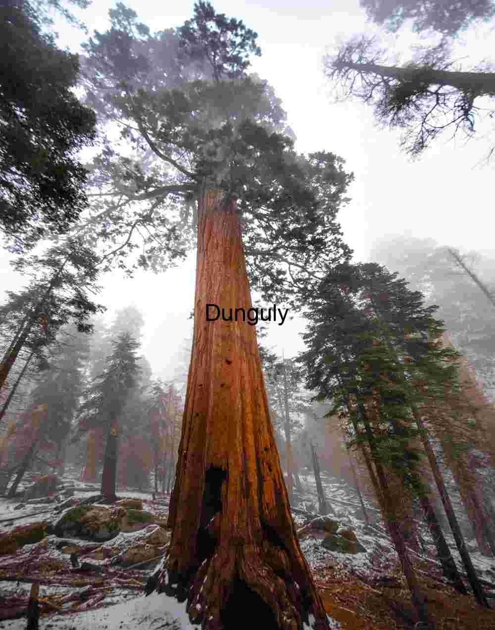 Single - Mono Lake Sand Tufa Sunrise Blue Orange Dramatic Sky