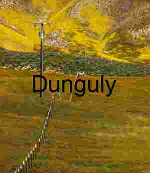 Carrizo Plain Superbloom Fence Line Yellow Flowers Power