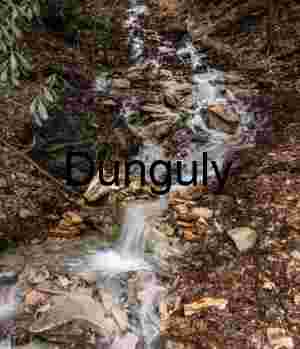 Forest Stream Waterfall on GAP Trail