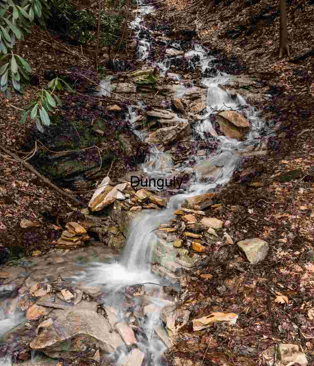 Forest Stream Waterfall on GAP Trail
