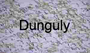 Snow Goose Blast-Off Blur: Abstract Bird Migration Art