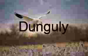 Snow Goose Landing at Ladd Gordon Waterfowl Complex