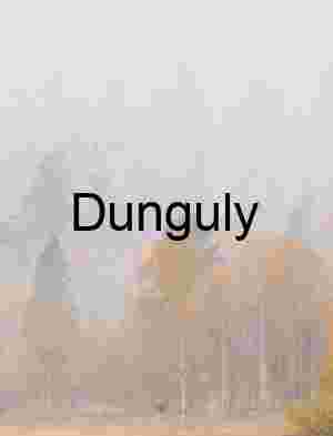 Carrizo Plain Superbloom Dirt Road Yellow Wildflower Vista