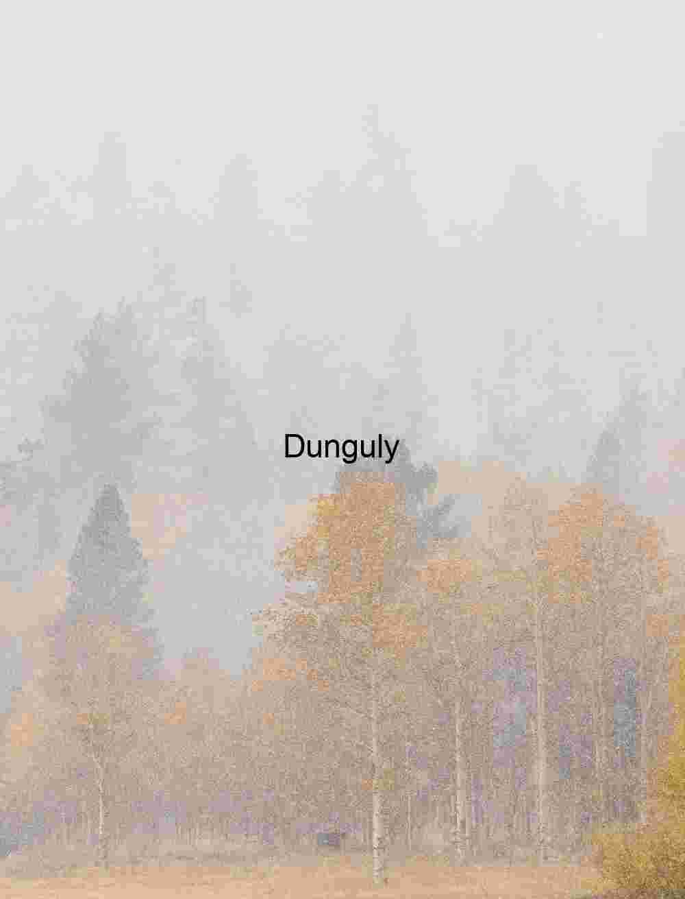 Carrizo Plain Superbloom Dirt Road Yellow Wildflower Vista