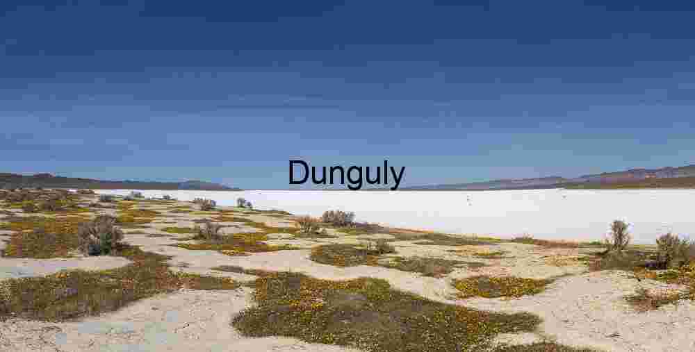 Ethereal Aspen Snowfall Mist Fall Colors Eastern Sierras