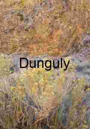 Soda Lake Dry Lake Bed Panorama Carrizo Plain Blue Sky