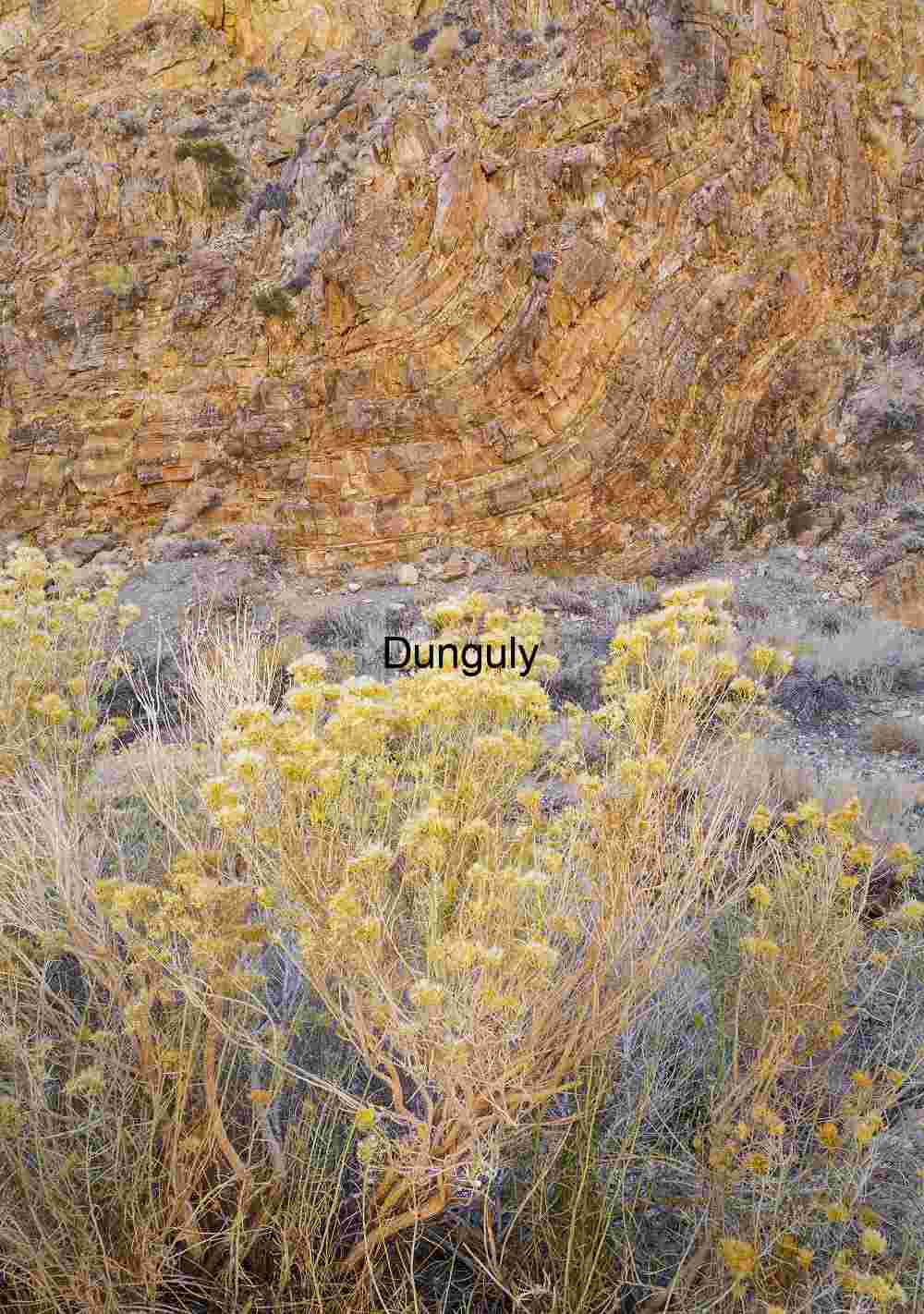 Soda Lake Dry Lake Bed Panorama Carrizo Plain Blue Sky