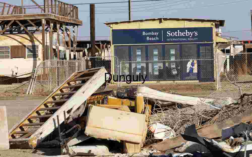 Desert Flowers Folded Rock Canyon Wall Death Valley Road