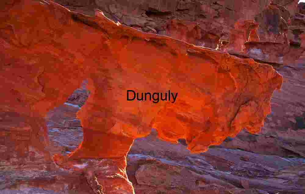 Stalking lion | Sandstone Hoodoo Arch