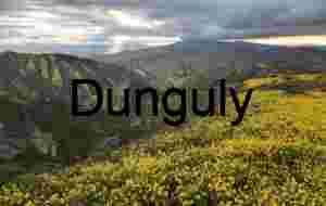 Yucca Succulent Spikes Abstract Close-up Carrizo Plain