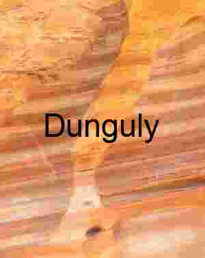 Striped elbow | Nature's Pocketed Art