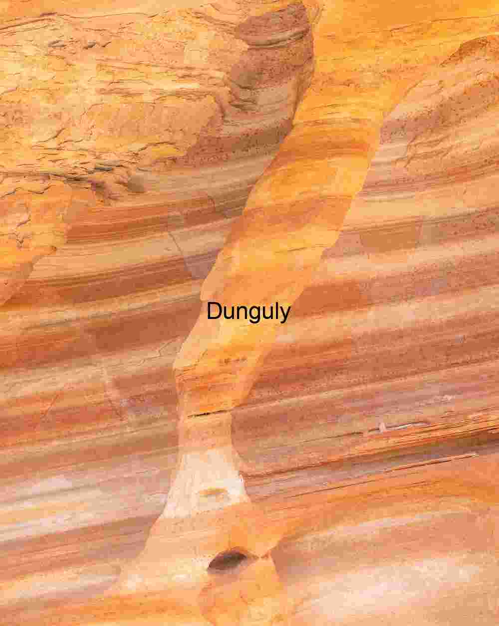 Striped elbow | Nature's Pocketed Art