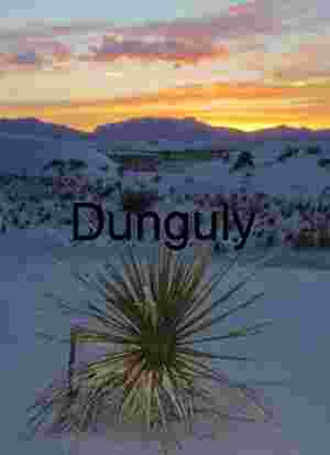 Sunset Yucca