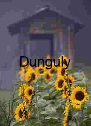 Sunflower parade by garden shed; John C. Campbell Folk School