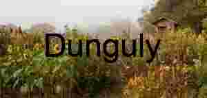 Sunflowers in the Garden; John C. Campbell Folk School