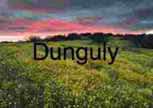 Close- Dramatic Super bloom View Caliente Mountains Storm Clouds