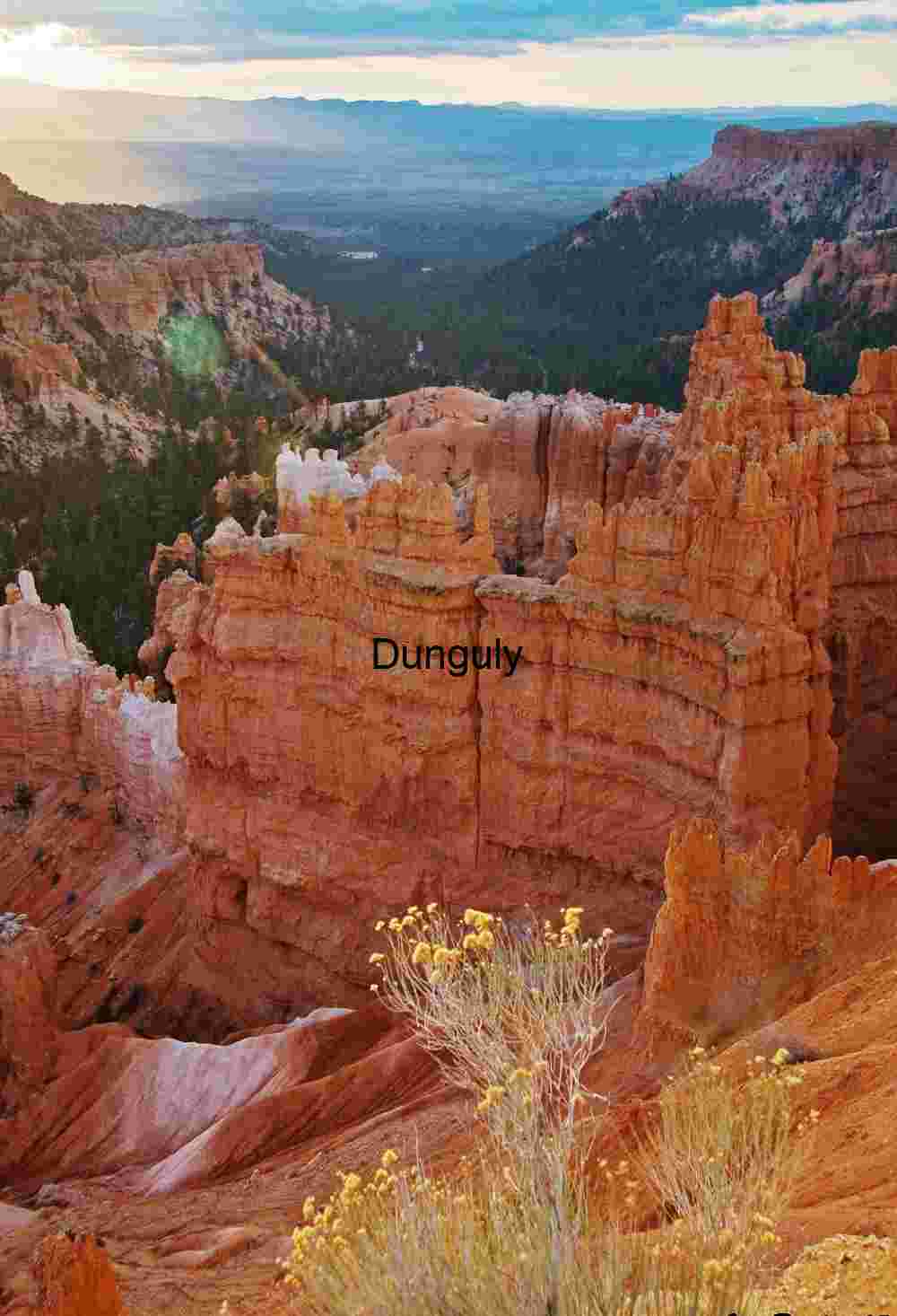 Sunrise, rocks and biota at Bryce Canyon