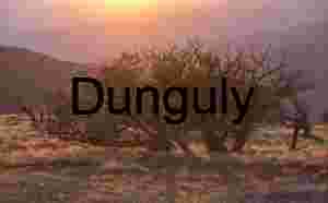 Superbloom Sun Star Over Caliente Mountains Carrizo Plain