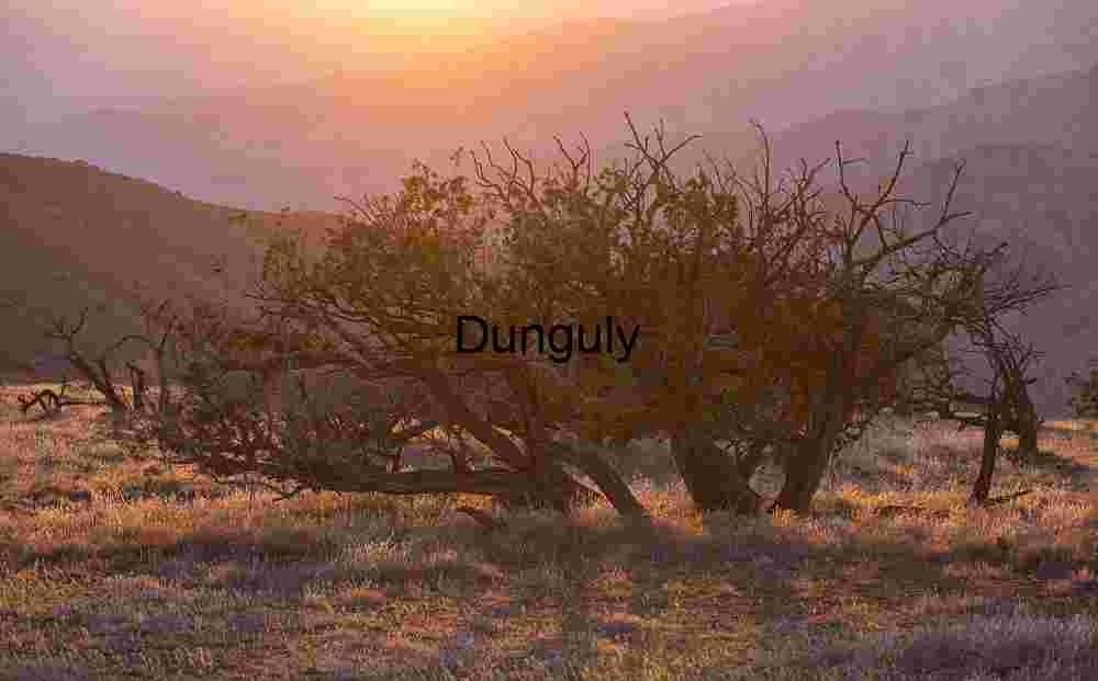 Superbloom Sun Star Over Caliente Mountains Carrizo Plain