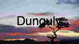 Sunset, tree at Panorama Point