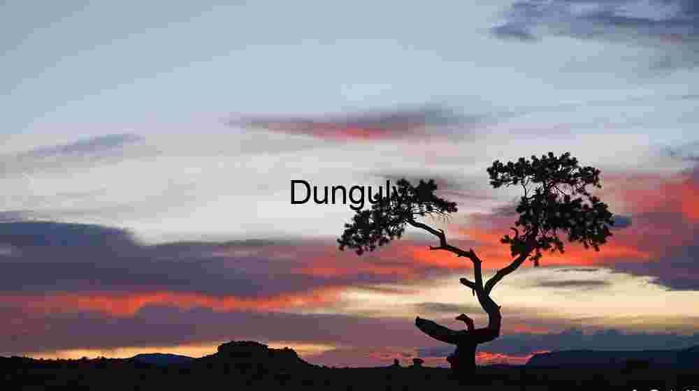 Sunset, tree at Panorama Point