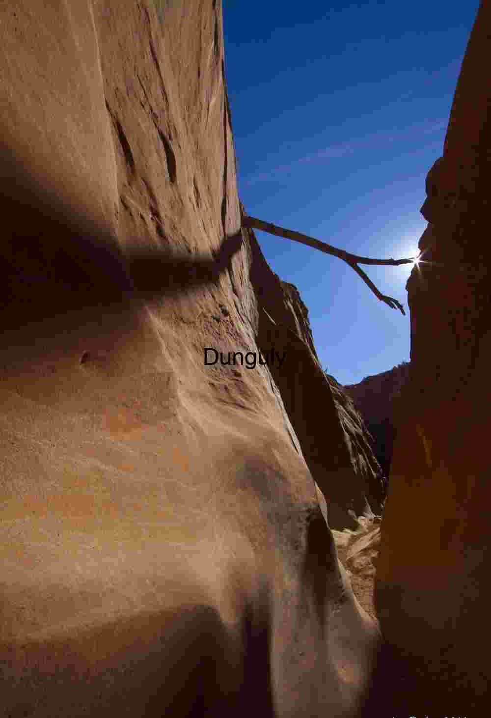 Escalante Slot Canyon Sunstar & Jammed Log Art