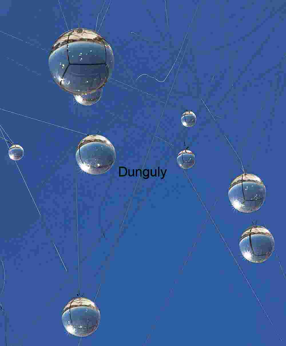 Temblor Range Superbloom Yellow Purple Wildflower Hills