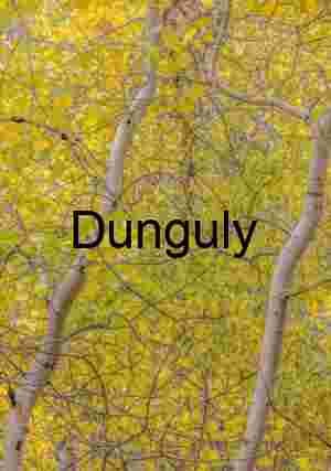 Yellow Aspen Foliage Tangled Branches Abstract Pattern