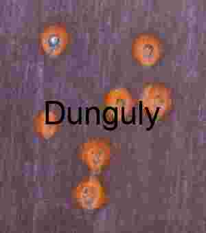 Abandoned Phone Booth Salton Sea Post-Apocalyptic Art