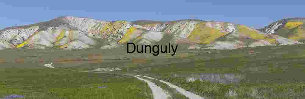 Rusty Metal Bullet Holes Texture Abstract Carrizo Plain