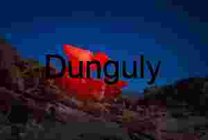 The Raptor stalks at night