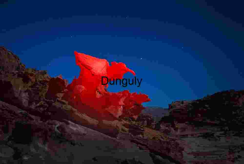 The Raptor stalks at night