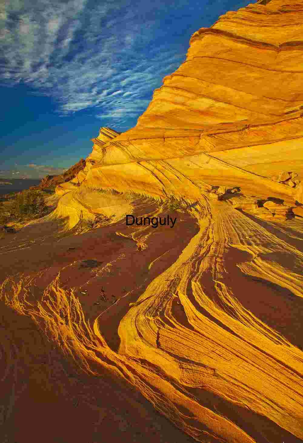 The Yellow Wave; Paw Hole, South Coyote Buttes