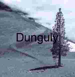 Purple Owl's Clover and Yellow Wildflowers Carrizo Plain