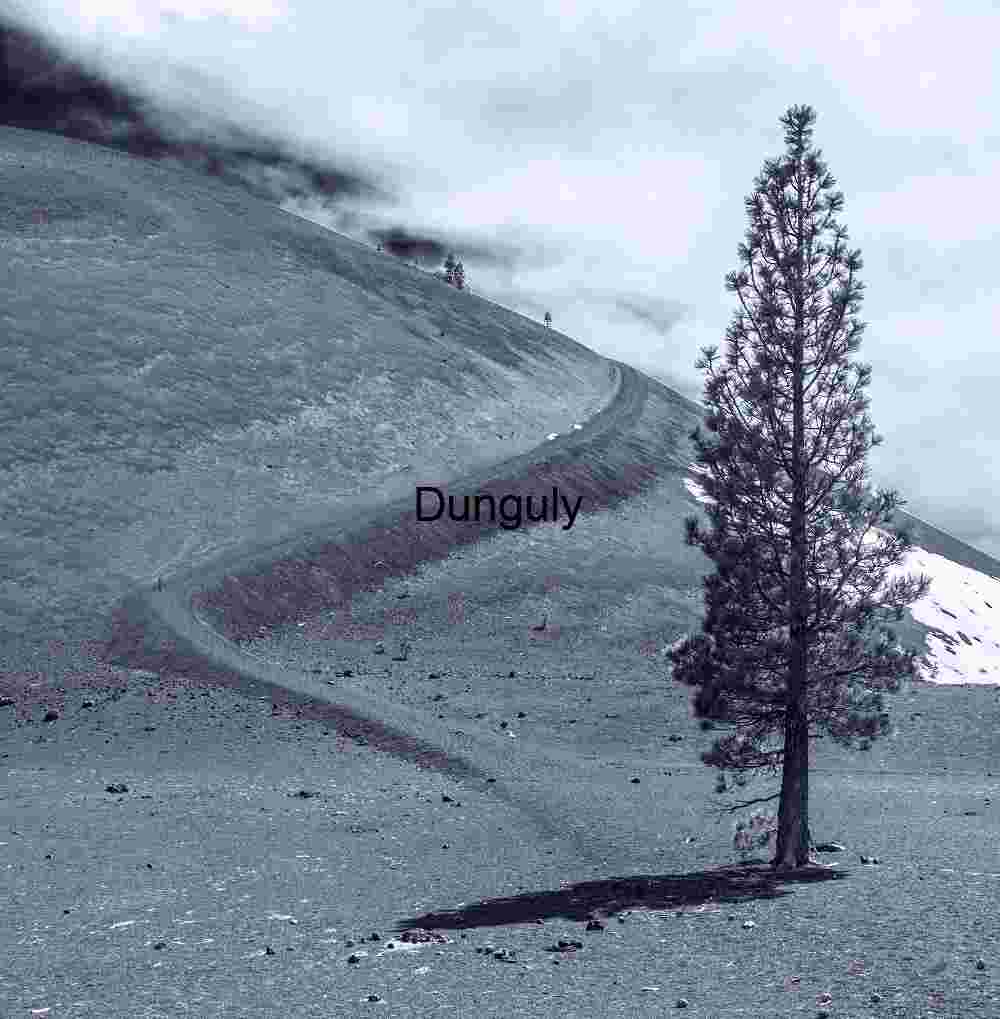 Purple Owl's Clover and Yellow Wildflowers Carrizo Plain