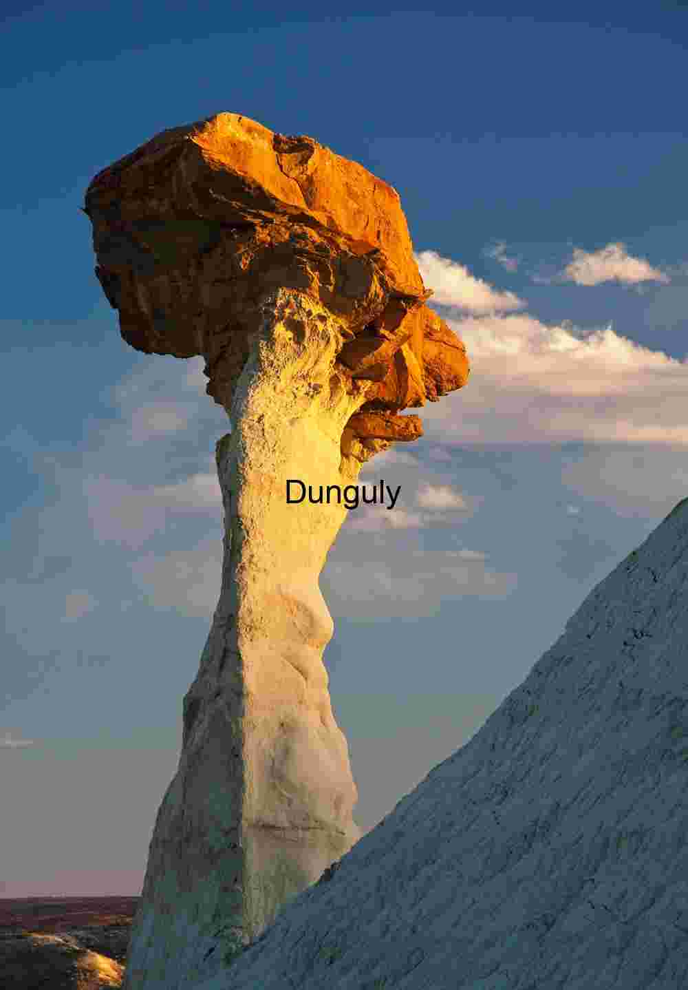 The camel's head, Upper White Rocks, Escalante